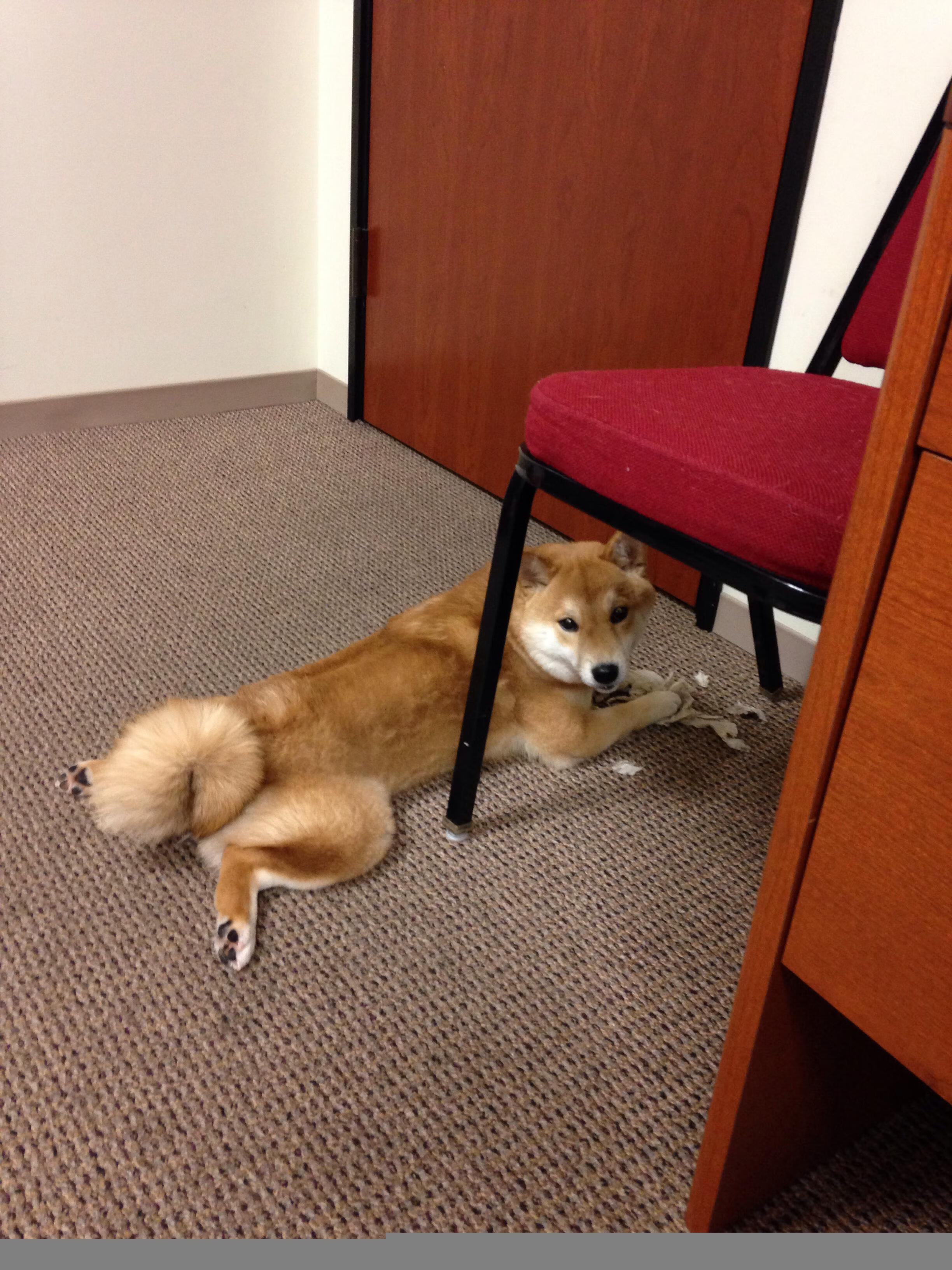 五大联赛球队是否在体能瓶颈期压缩中场布局,五大联赛球场容量排名