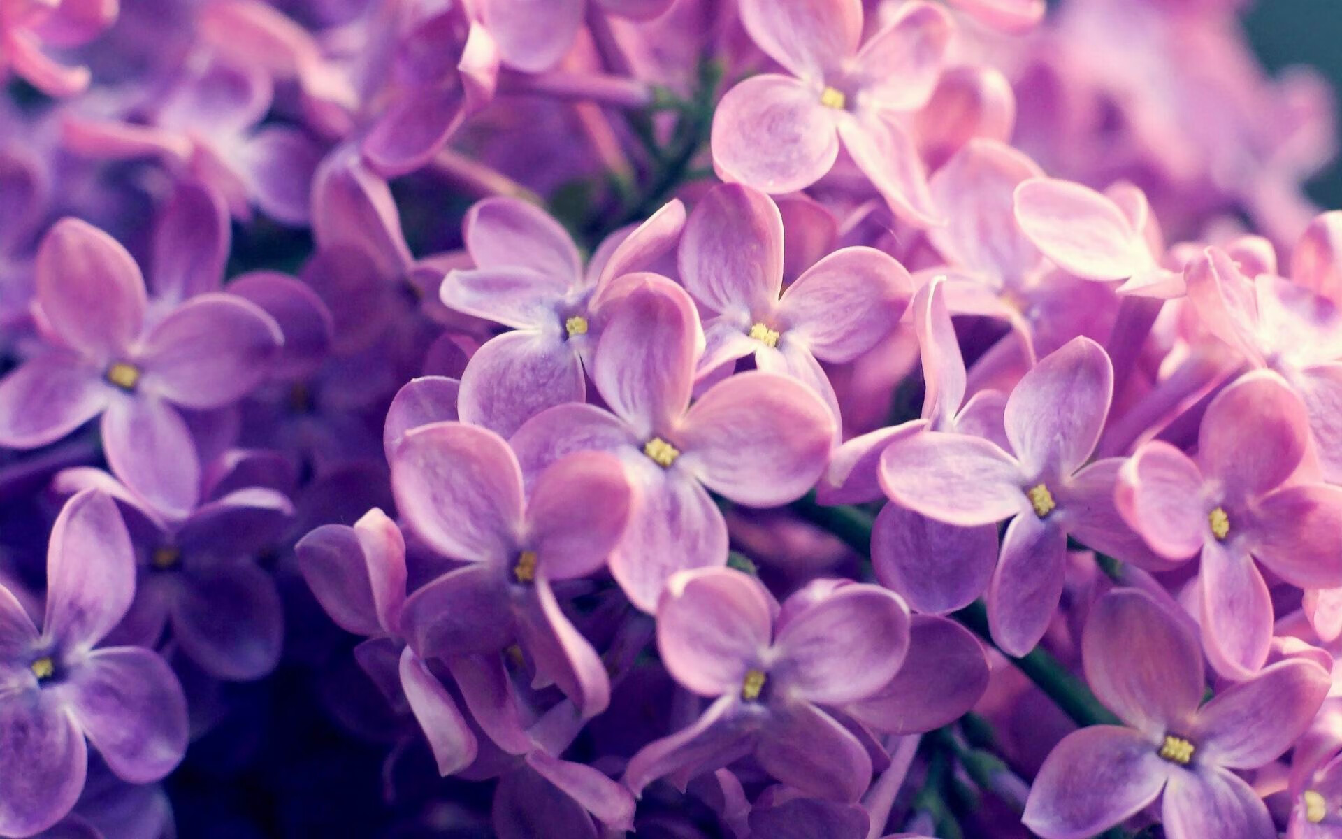 Leyu Sports (乐鱼体育)-体育新闻中心发布体育短视频版权保护指南，体育短视频的传播特点