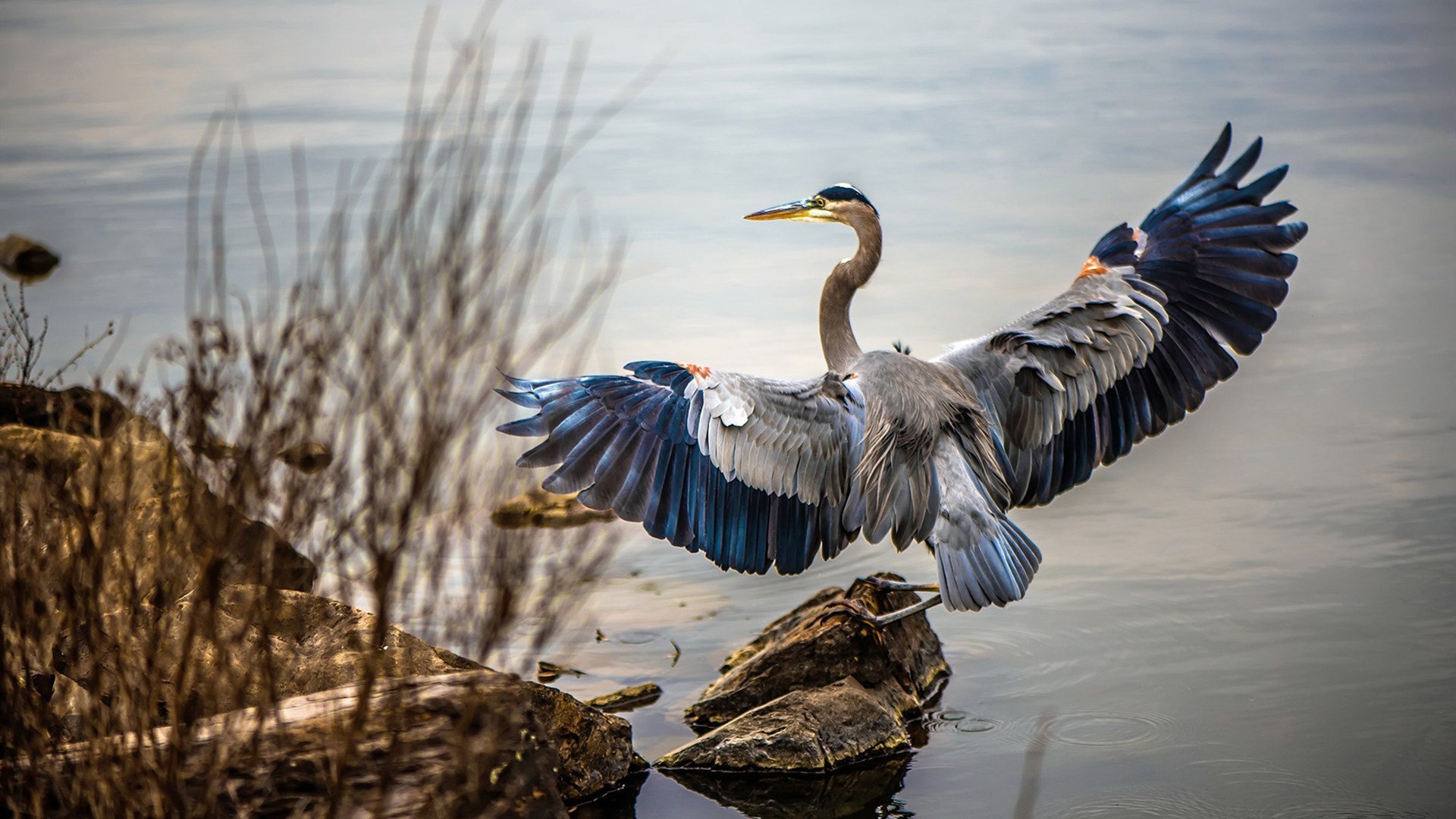 体育新闻中心发布体育短视频版权保护指南,体育短视频的传播特点