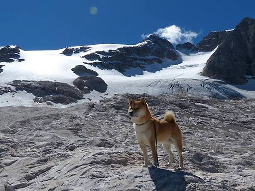 搏击台上竞技水平稳步提升,搏击进攻技巧