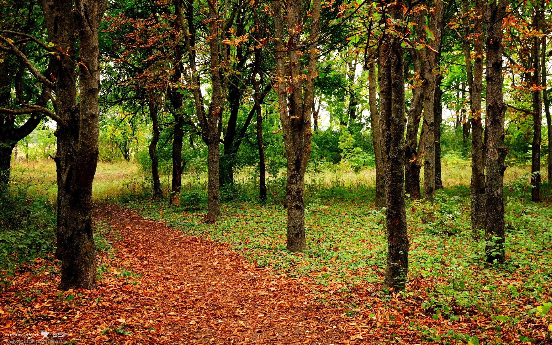 球员体能下降后是否应减缓比赛节奏,球员体能训练