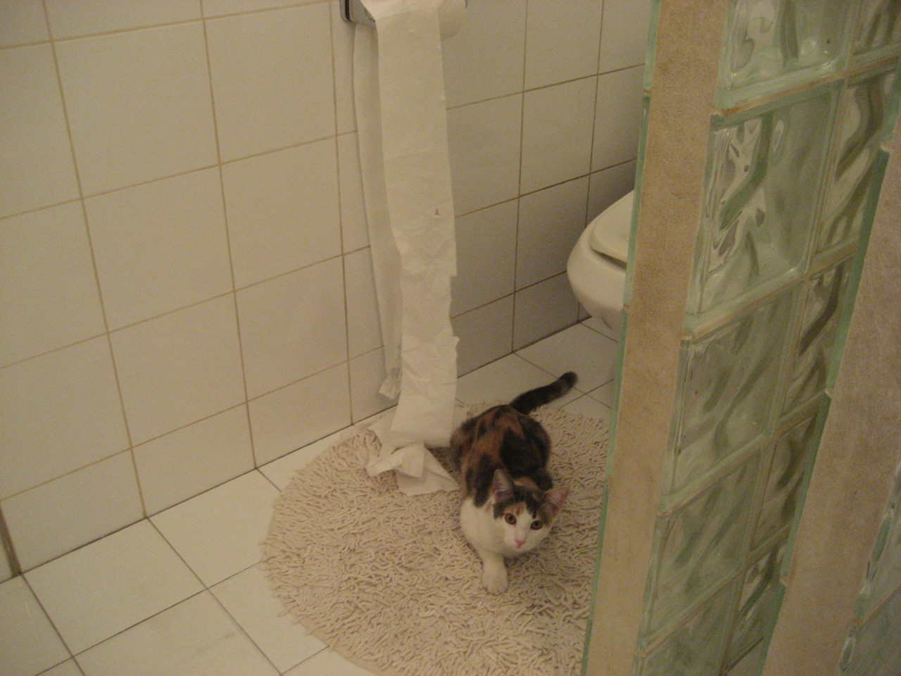 LEYU SPORTS中国官方网站-中国足球职业俱乐部引进国际医疗康复技术，中国足协足球训练中心