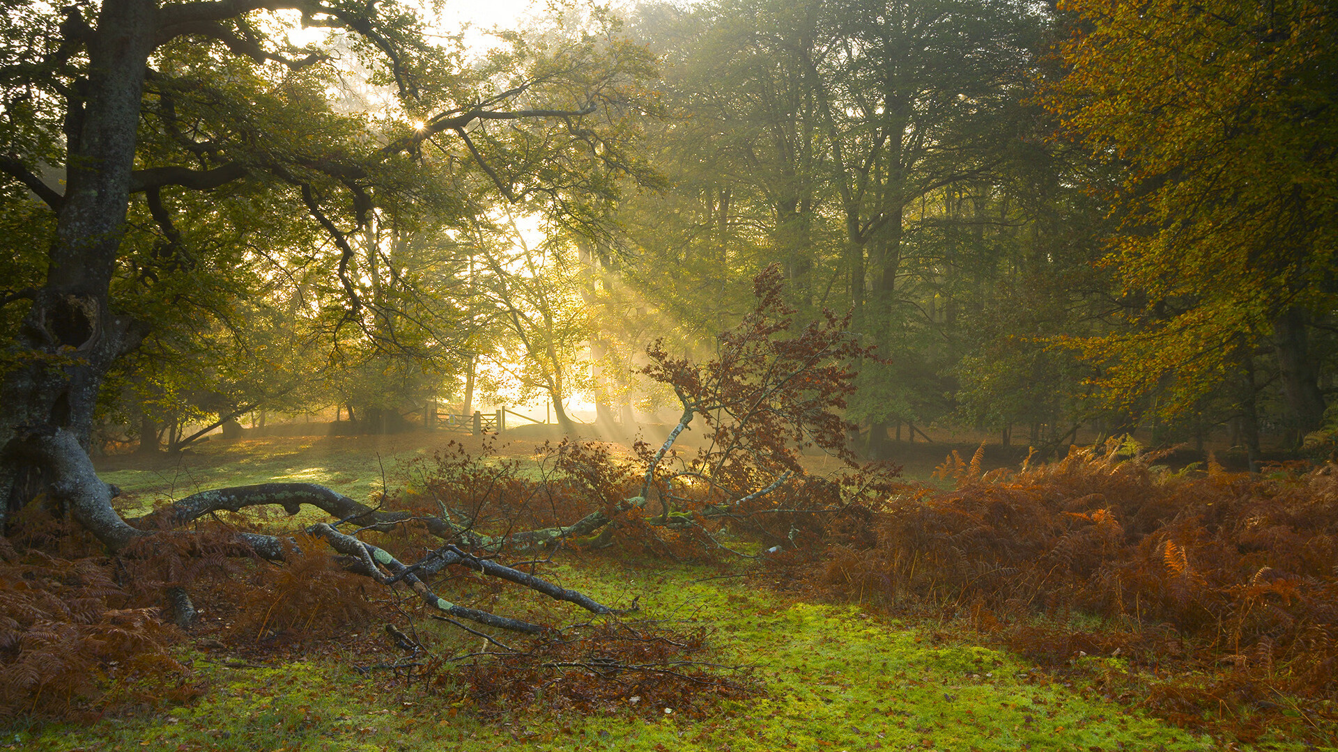 LEYU SPORTS中国官方网站-国际田联推出新比赛规则，国际田联推出新比赛规则有哪些