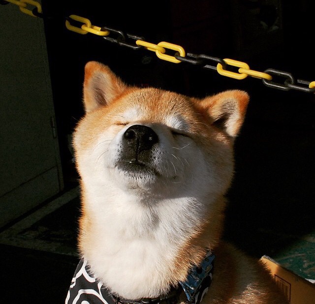 国际田联推出新比赛规则,国际田联推出新比赛规则有哪些