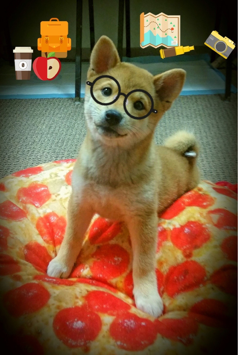 乐鱼vip-技术犯规判罚引热议，联盟拟修订相关规则，技术犯规怎么判罚最新