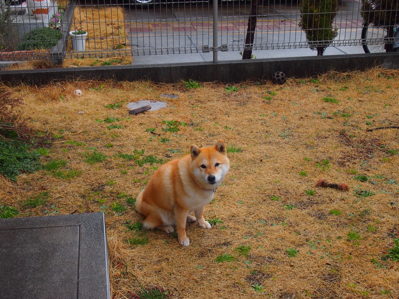 法甲战术布局:变阵奇兵改变战局,法甲变天