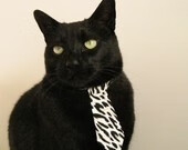 荷兰队在欧洲预赛中持续保持优异表现，晋级希望大好