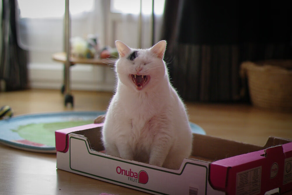 leyu乐鱼官网登录入口-西甲突破防线：超级明星持续发力！，西甲十大新星